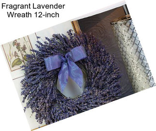 Fragrant Lavender Wreath 12-inch