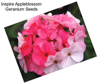 Inspire Appleblossom Geranium Seeds