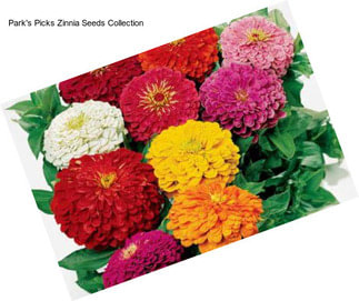 Park\'s Picks Zinnia Seeds Collection