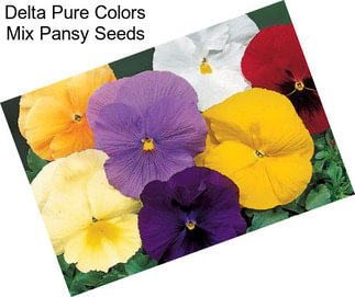 Delta Pure Colors Mix Pansy Seeds