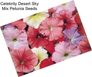 Celebrity Desert Sky Mix Petunia Seeds