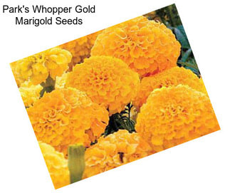 Park\'s Whopper Gold Marigold Seeds