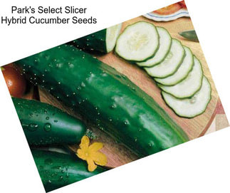 Park\'s Select Slicer Hybrid Cucumber Seeds