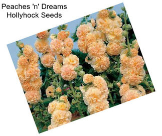 Peaches \'n\' Dreams Hollyhock Seeds