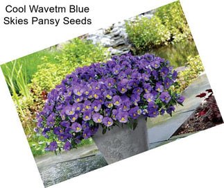 Cool Wavetm Blue Skies Pansy Seeds