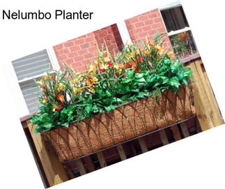 Nelumbo Planter