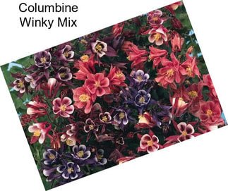 Columbine Winky Mix