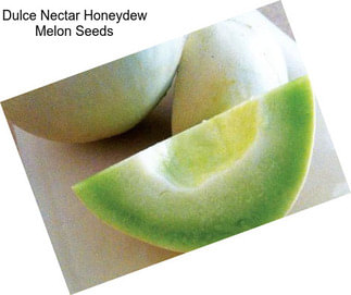 Dulce Nectar Honeydew Melon Seeds