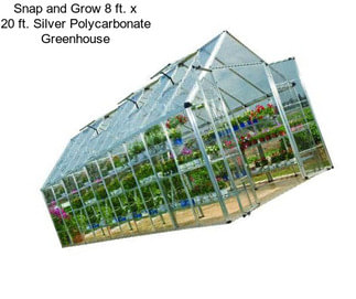 Snap and Grow 8 ft. x 20 ft. Silver Polycarbonate Greenhouse