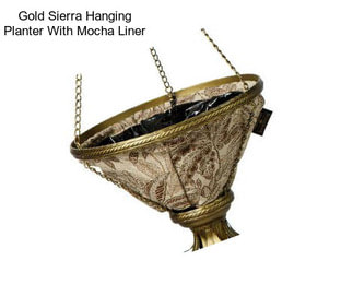 Gold Sierra Hanging Planter With Mocha Liner