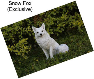 Snow Fox (Exclusive)