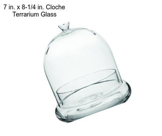 7 in. x 8-1/4 in. Cloche Terrarium Glass