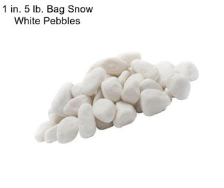 1 in. 5 lb. Bag Snow White Pebbles