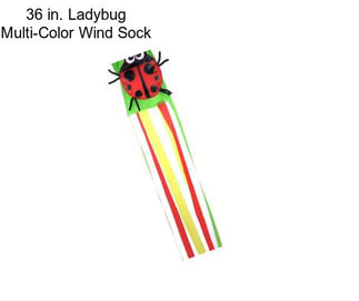 36 in. Ladybug Multi-Color Wind Sock