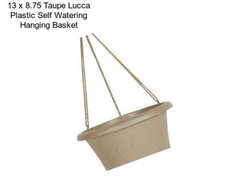 13 x 8.75 Taupe Lucca Plastic Self Watering Hanging Basket