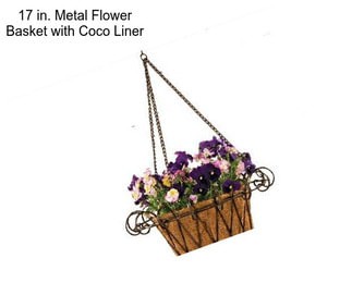 17 in. Metal Flower Basket with Coco Liner