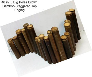 48 in. L Big Poles Brown Bamboo Staggered Top Edging