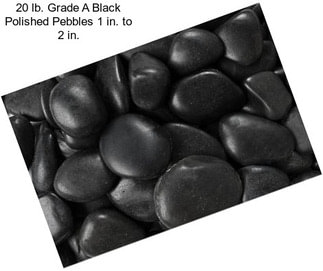 20 lb. Grade A Black Polished Pebbles 1 in. to 2 in.