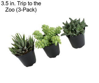 3.5 in. Trip to the Zoo (3-Pack)