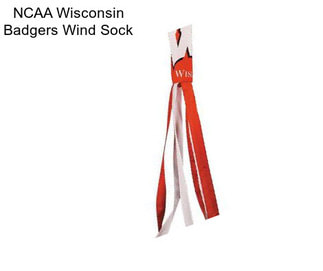 NCAA Wisconsin Badgers Wind Sock