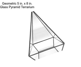 Geometric 5 in. x 8 in. Glass Pyramid Terrarium