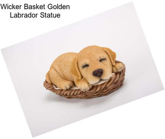 Wicker Basket Golden Labrador Statue