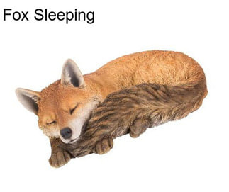 Fox Sleeping