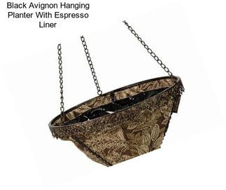 Black Avignon Hanging Planter With Espresso Liner