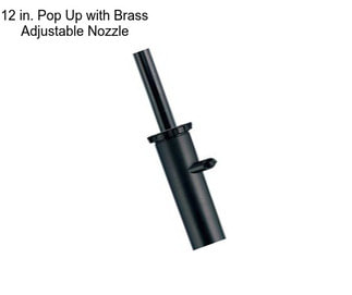 12 in. Pop Up with Brass Adjustable Nozzle
