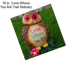 18 in. \'Love Whooo You Are\' Owl Statuary