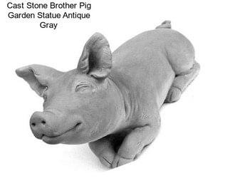 Cast Stone Brother Pig Garden Statue Antique Gray
