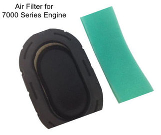 Air Filter for 7000 Series Engine