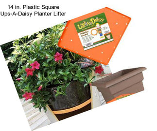 14 in. Plastic Square Ups-A-Daisy Planter Lifter
