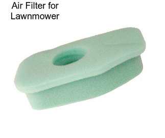 Air Filter for Lawnmower