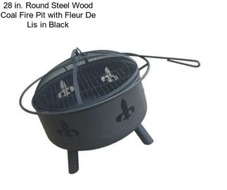 28 in. Round Steel Wood Coal Fire Pit with Fleur De Lis in Black