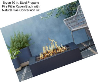 Bryon 30 in. Steel Propane Fire Pit in Raven Black with Natural Gas Conversion Kit