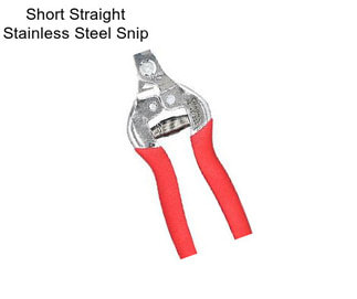 Short Straight Stainless Steel Snip