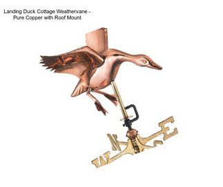 Landing Duck Cottage Weathervane - Pure Copper with Roof Mount