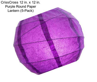 CrissCross 12 in. x 12 in. Purple Round Paper Lantern (5-Pack)