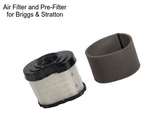 Air Filter and Pre-Filter for Briggs & Stratton