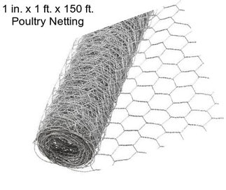 1 in. x 1 ft. x 150 ft. Poultry Netting