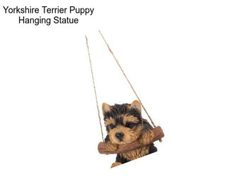 Yorkshire Terrier Puppy Hanging Statue