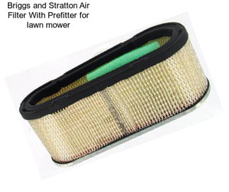 Briggs and Stratton Air Filter With Prefitter for lawn mower