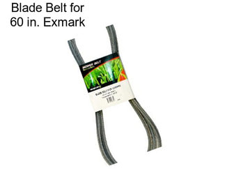 Blade Belt for 60 in. Exmark