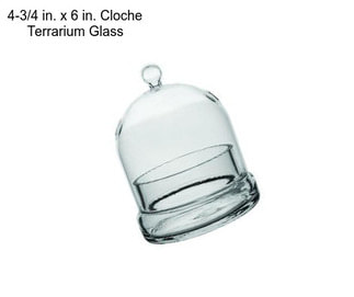 4-3/4 in. x 6 in. Cloche Terrarium Glass
