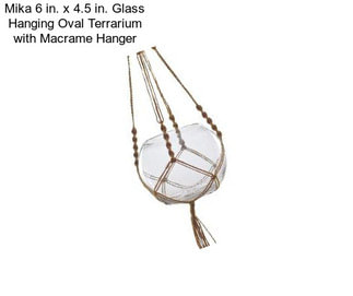 Mika 6 in. x 4.5 in. Glass Hanging Oval Terrarium with Macrame Hanger