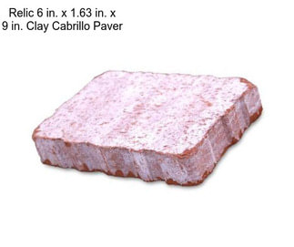 Relic 6 in. x 1.63 in. x 9 in. Clay Cabrillo Paver