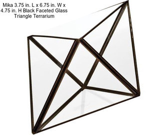 Mika 3.75 in. L x 6.75 in. W x 4.75 in. H Black Faceted Glass Triangle Terrarium