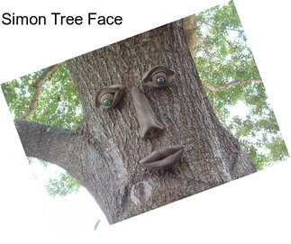 Simon Tree Face