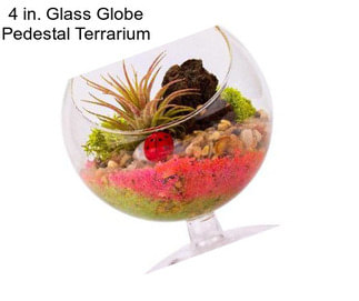 4 in. Glass Globe Pedestal Terrarium